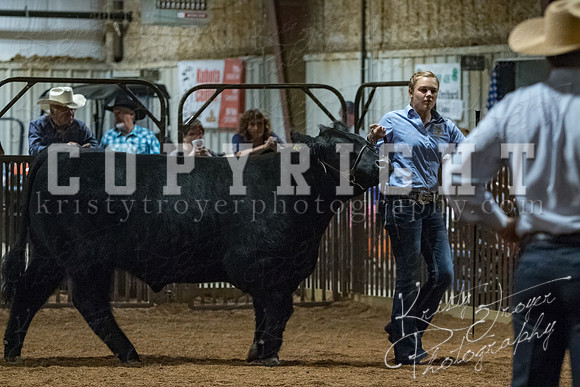 mayes__county_fair_beef_3583