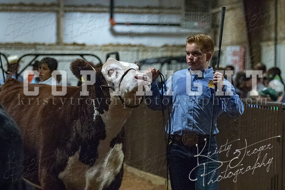 mayes__county_fair_beef_3584
