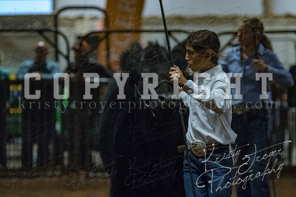 mayes__county_fair_beef_3586