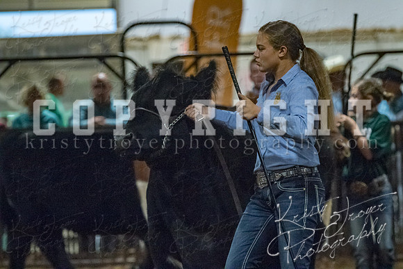 mayes__county_fair_beef_3587