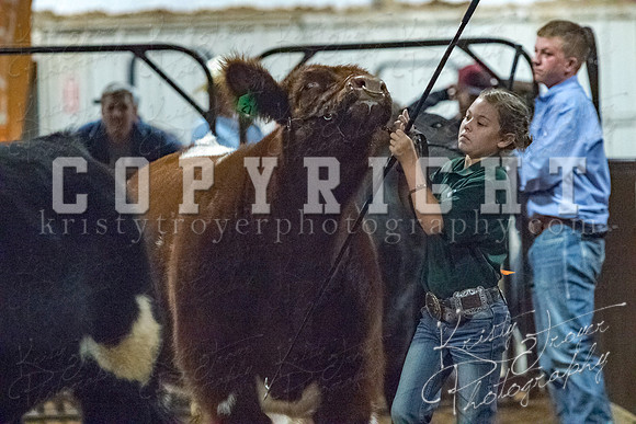mayes__county_fair_beef_3588