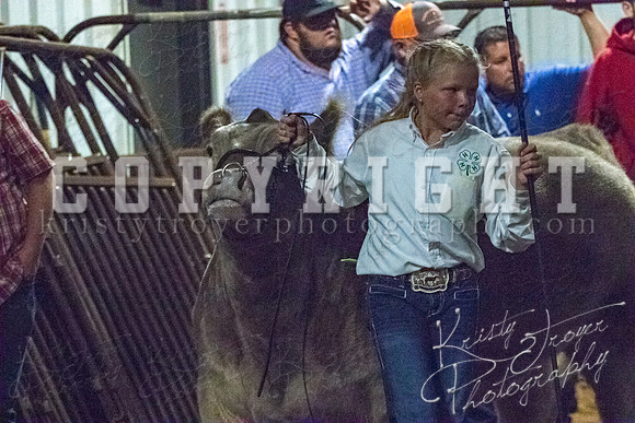 mayes__county_fair_beef_3589