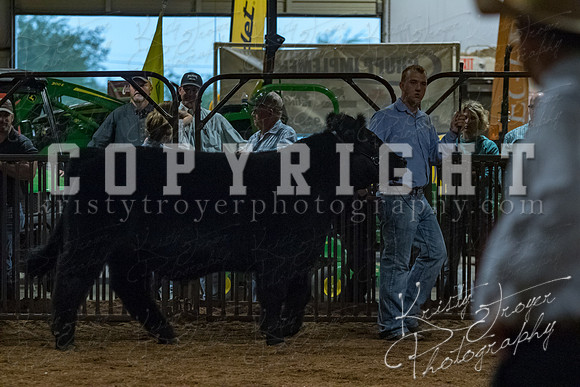 mayes__county_fair_beef_3590
