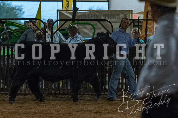 mayes__county_fair_beef_3591