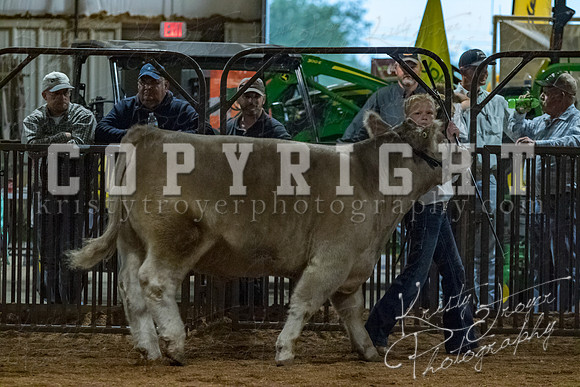 mayes__county_fair_beef_3592