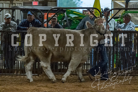 mayes__county_fair_beef_3593