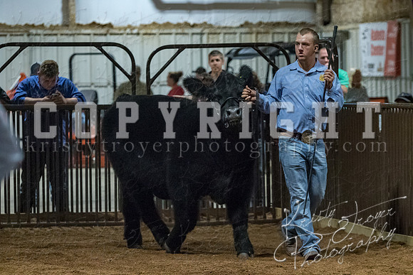 mayes__county_fair_beef_3594