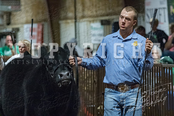 mayes__county_fair_beef_3595