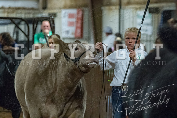 mayes__county_fair_beef_3596