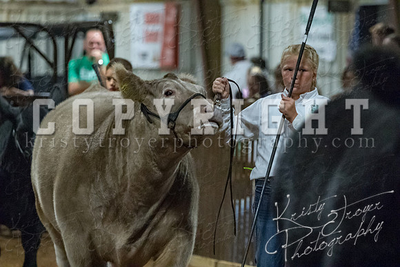 mayes__county_fair_beef_3597