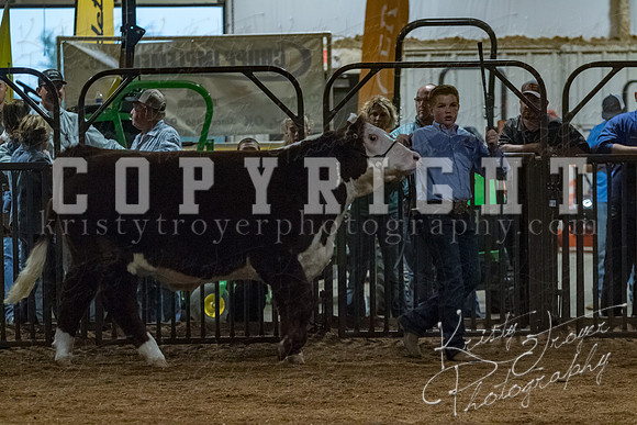 mayes__county_fair_beef_3598
