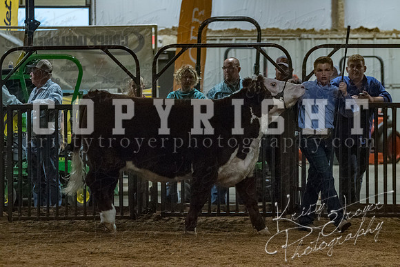 mayes__county_fair_beef_3599
