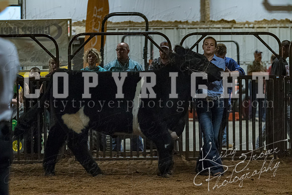 mayes__county_fair_beef_3602
