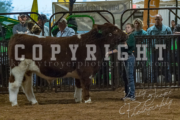 mayes__county_fair_beef_3603
