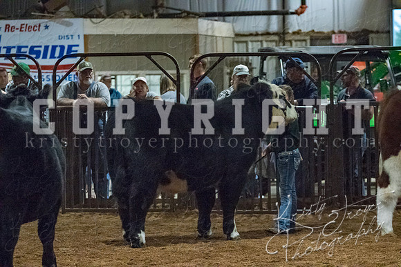 mayes__county_fair_beef_3604