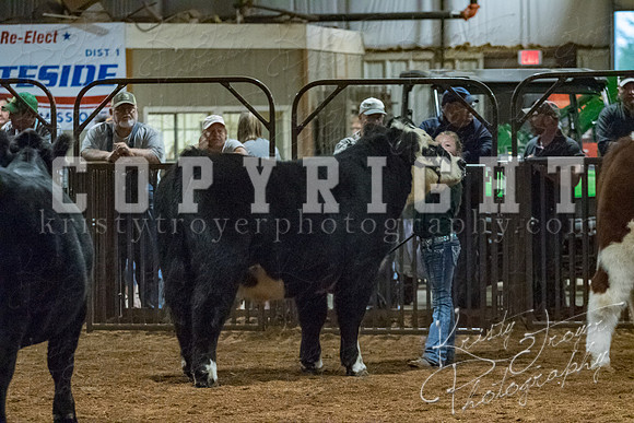 mayes__county_fair_beef_3605