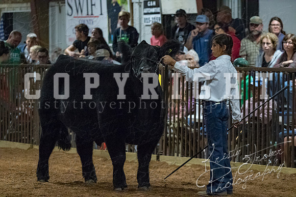 mayes__county_fair_beef_3606
