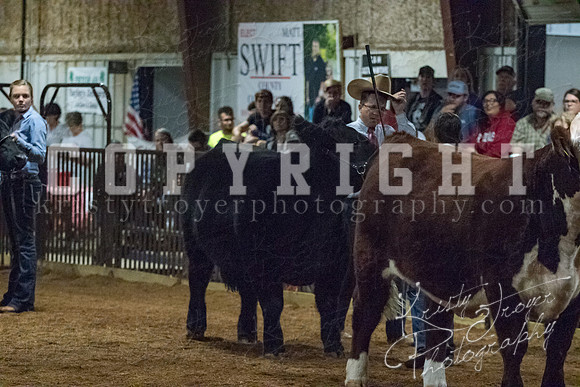 mayes__county_fair_beef_3608