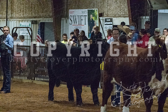 mayes__county_fair_beef_3609