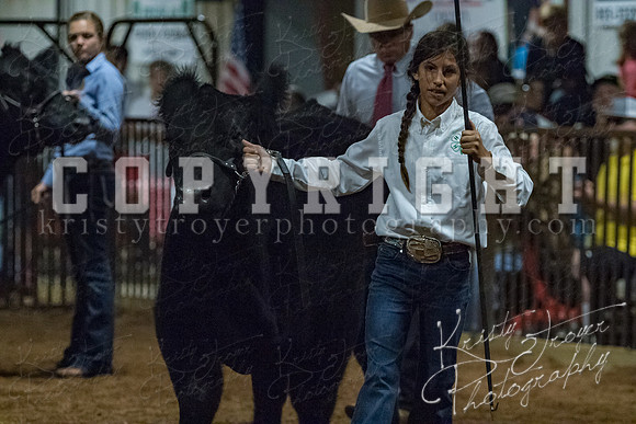 mayes__county_fair_beef_3610