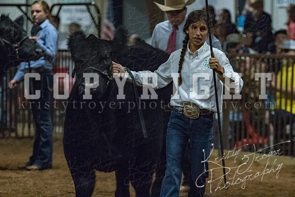 mayes__county_fair_beef_3611
