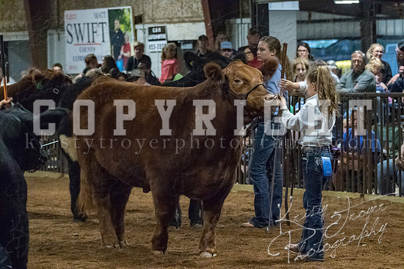 mayes__county_fair_beef_3613