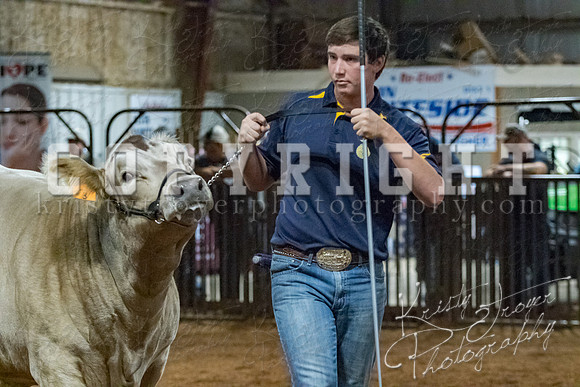 mayes__county_fair_beef_3510