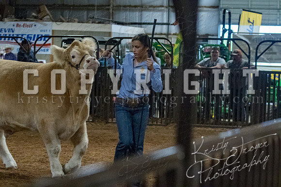 mayes__county_fair_beef_3517