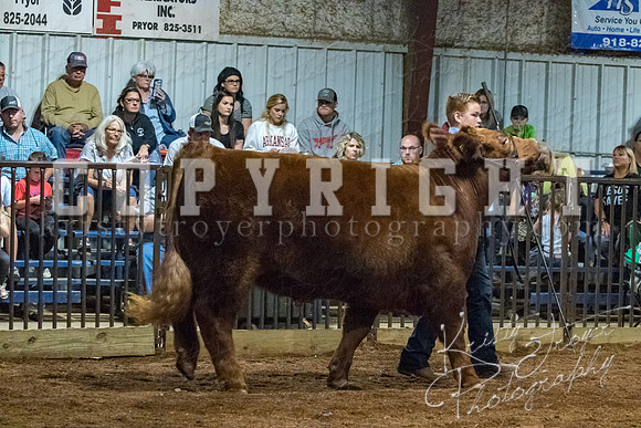 mayes__county_fair_beef_3531