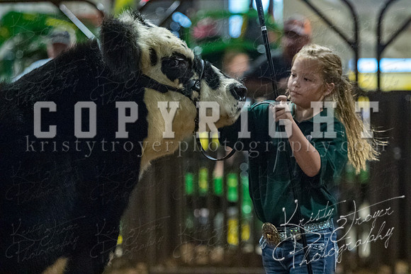 mayes__county_fair_beef_3574
