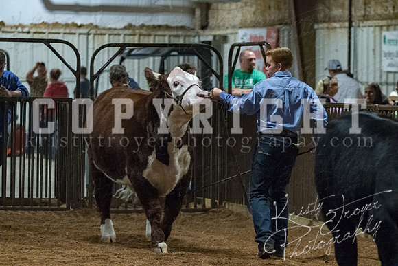mayes__county_fair_beef_3600