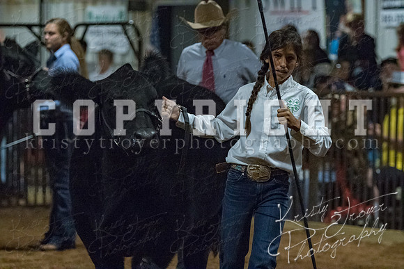 mayes__county_fair_beef_3612
