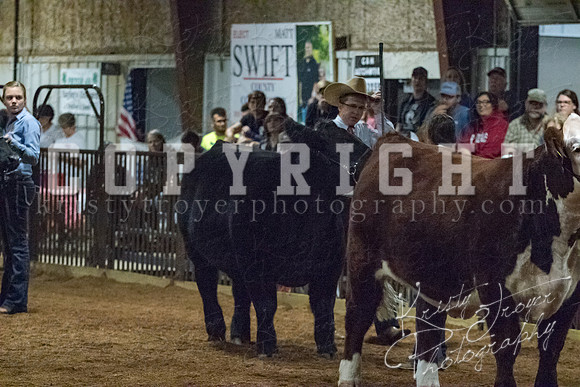 mayes__county_fair_beef_3607