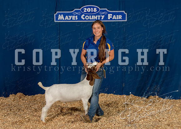 mayes__county_fair_backdrop_1249