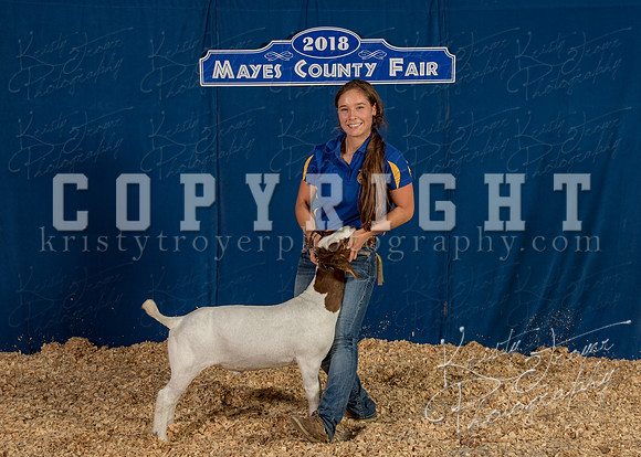 mayes__county_fair_backdrop_1250