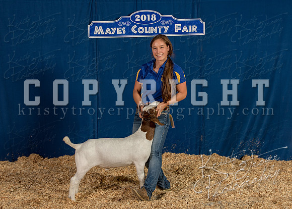 mayes__county_fair_backdrop_1251