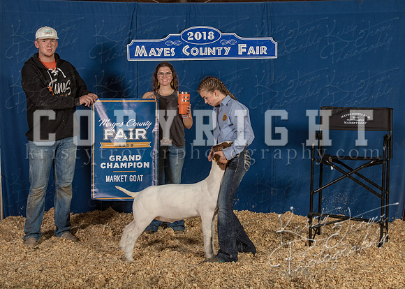mayes__county_fair_backdrop_1253
