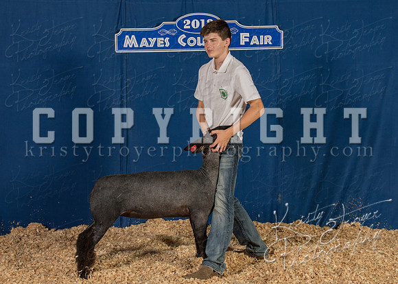 mayes__county_fair_backdrop_1030