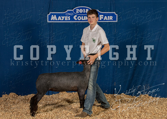 mayes__county_fair_backdrop_1031