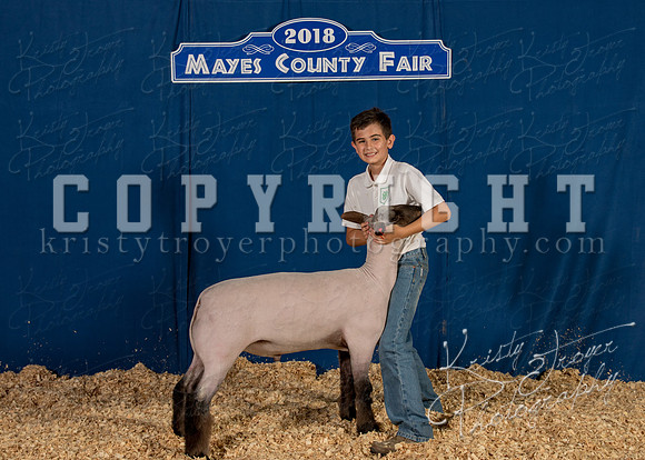 mayes__county_fair_backdrop_1032