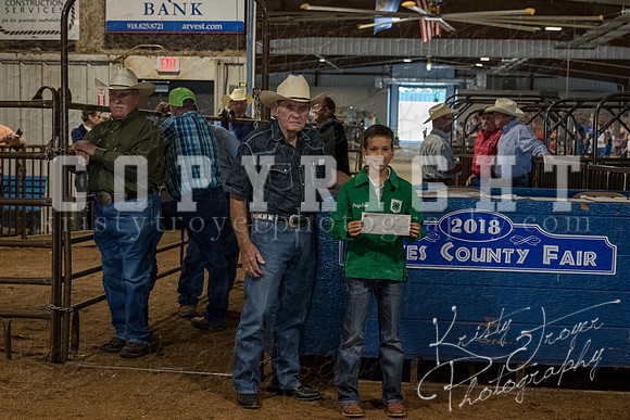 mayes_county_fair_awards_2143