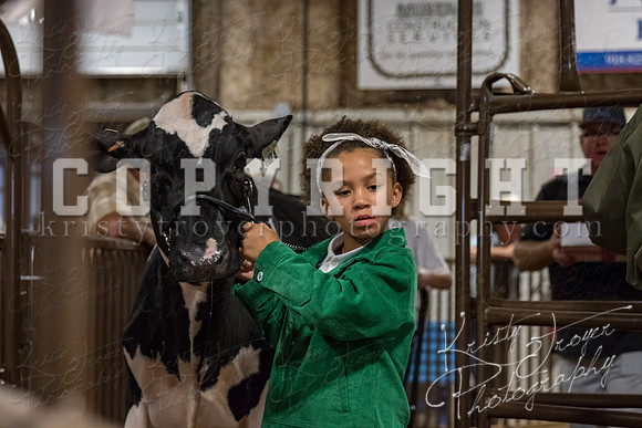 mayes_county_fair_premium_sale_2196