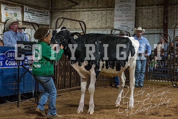 mayes_county_fair_premium_sale_2198