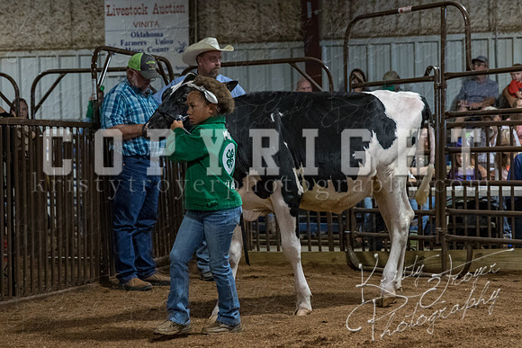 mayes_county_fair_premium_sale_2197
