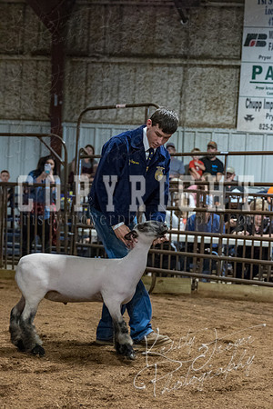 mayes_county_fair_premium_sale_2202