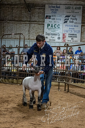 mayes_county_fair_premium_sale_2203
