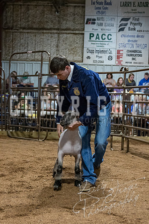 mayes_county_fair_premium_sale_2204