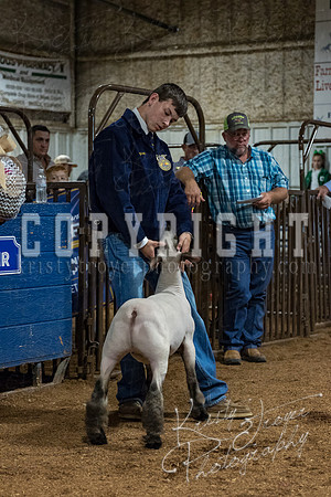 mayes_county_fair_premium_sale_2205