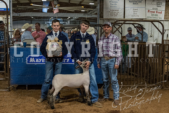 mayes_county_fair_premium_sale_2207