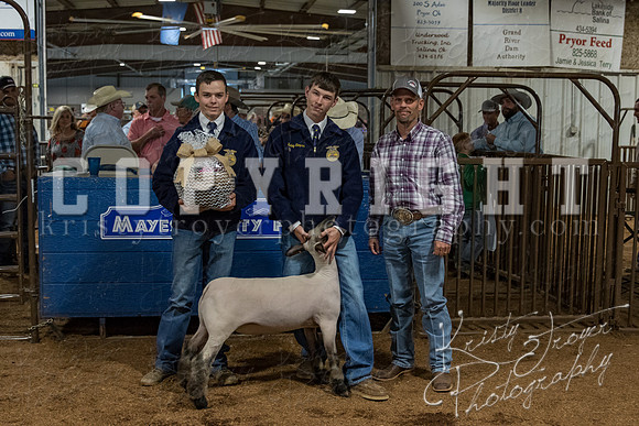 mayes_county_fair_premium_sale_2208